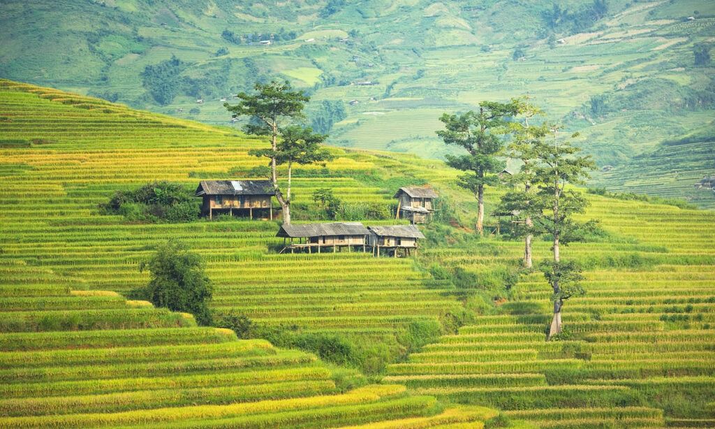 Scenic view of rural Thailand with green rice terraces, scattered traditional wooden houses, and forested hills in the background.