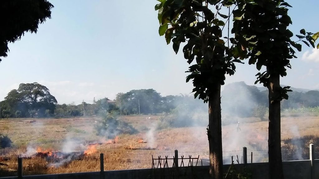 Flames and smoke spreading across a dry field in Chiang Mai.