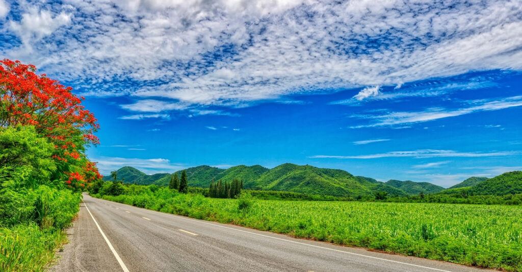 Scenic road lined with greenery and red blossoms leading toward Kaeng Krachan National Park, Thailand