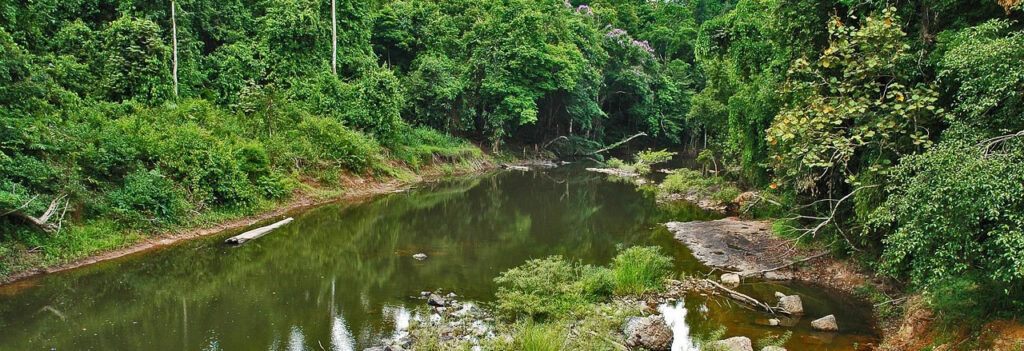 Tranquil river flowing through lush forest in Khao Yai National Park, Thailand