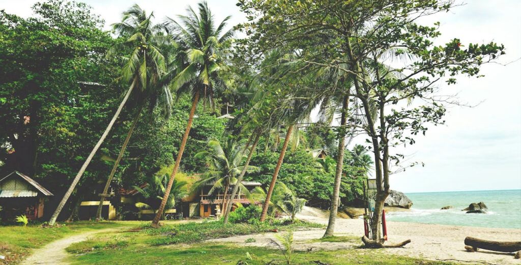 Quiet beach on Koh Phangan with palm trees, small bungalows, and calm sea