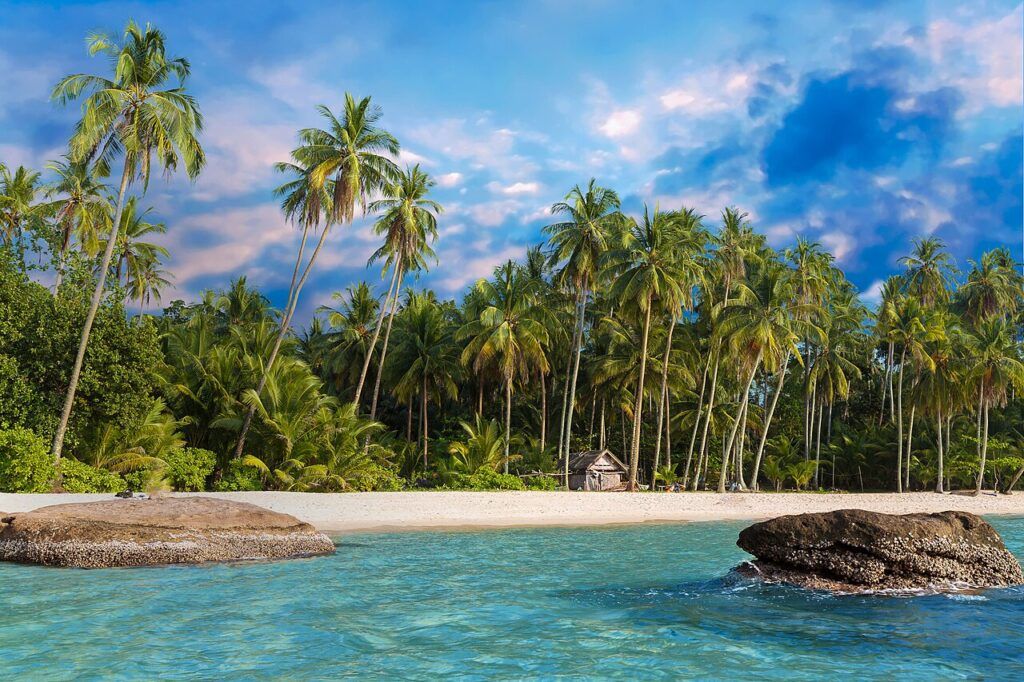 Ao Noi Beach on Koh Kood, Thailand – a quiet stretch of white sand lined with coconut palms, turquoise water, and a peaceful tropical vibe.
