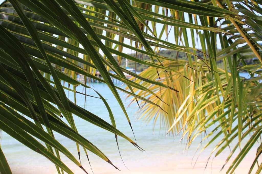 Tropical palm leaves framing a view of the sandy beach and turquoise sea on Koh Kood, Thailand.