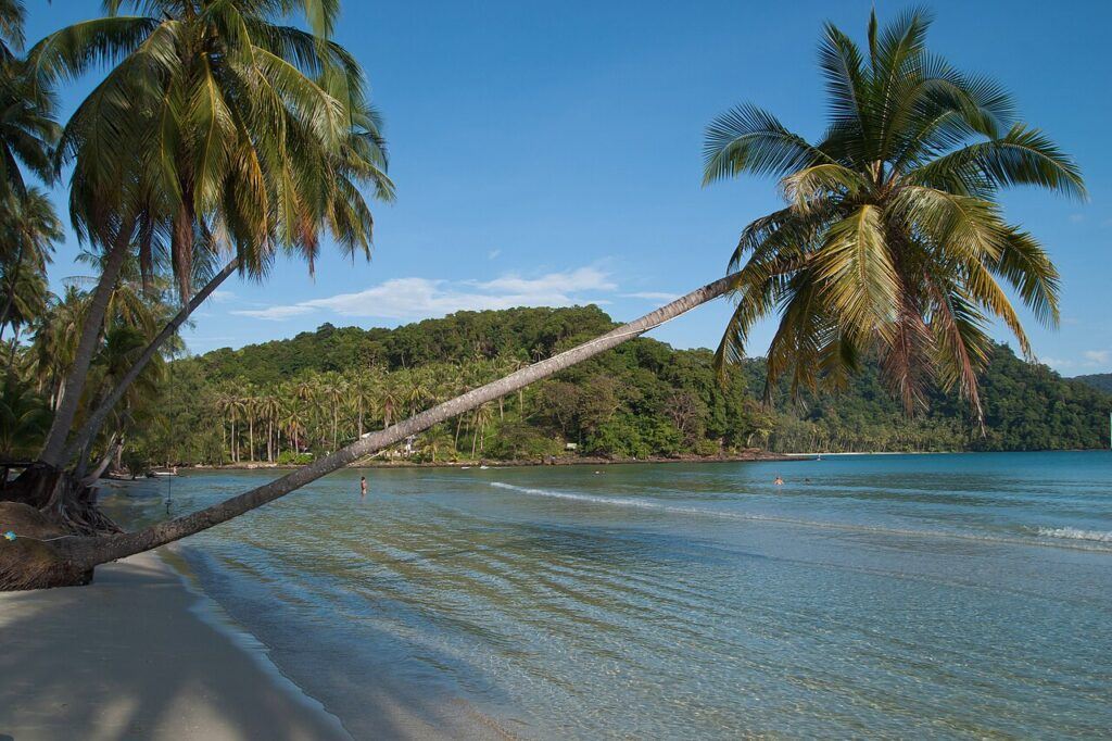 Scenic lagoon beach on Koh Kood, Thailand, with leaning palm trees over clear turquoise water and lush green hills in the background.