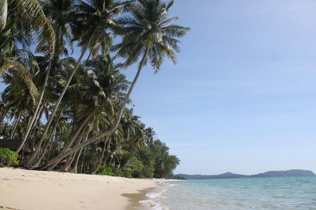 Tropical beach on Koh Kood, Thailand, with leaning palm trees, soft golden sand, and turquoise waters stretching toward the horizon.