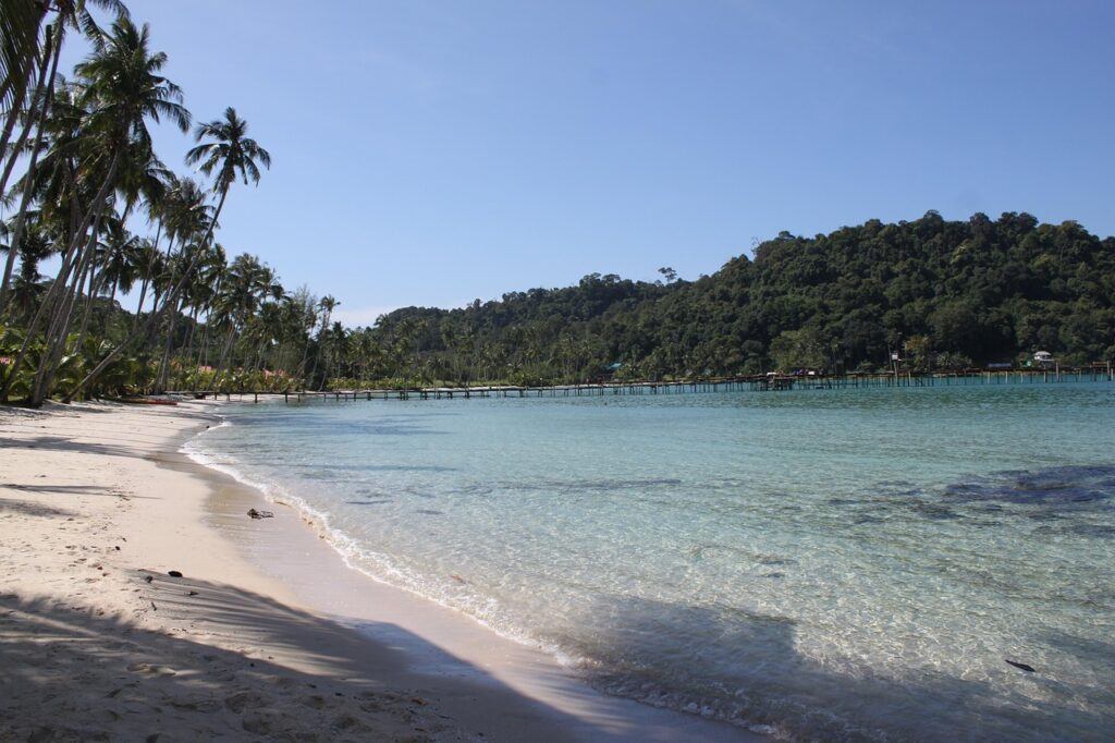 Scenic beach on Koh Kood, Thailand, with clear turquoise water, leaning coconut palms, and a wooden pier stretching into the bay.