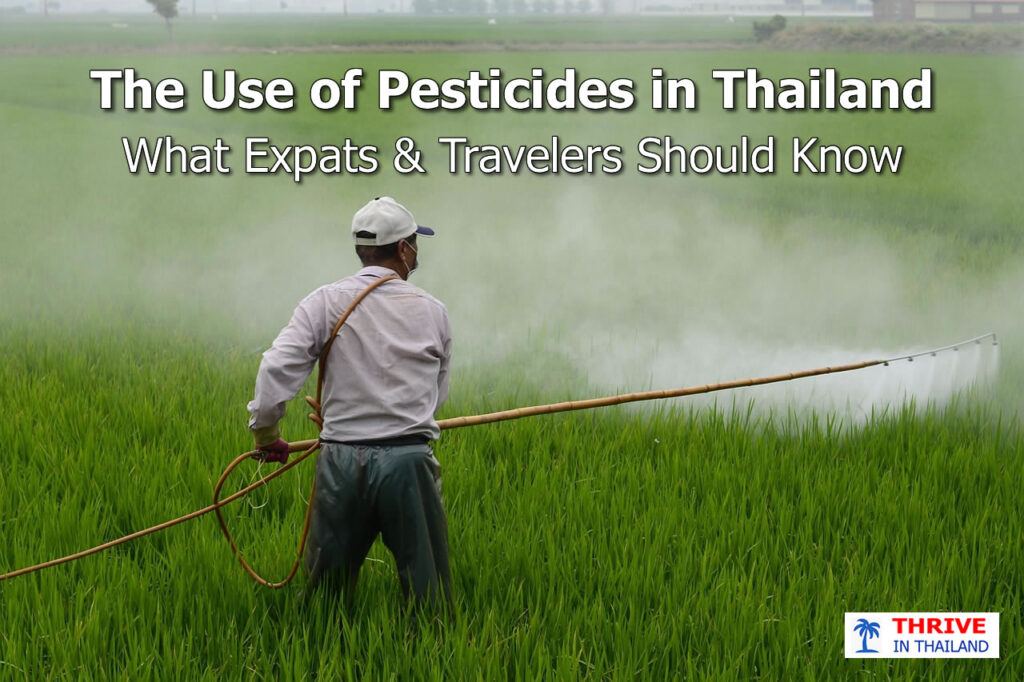 Farmer spraying pesticides in a rice field in Thailand – pesticide use and safety concerns for expats and travelers