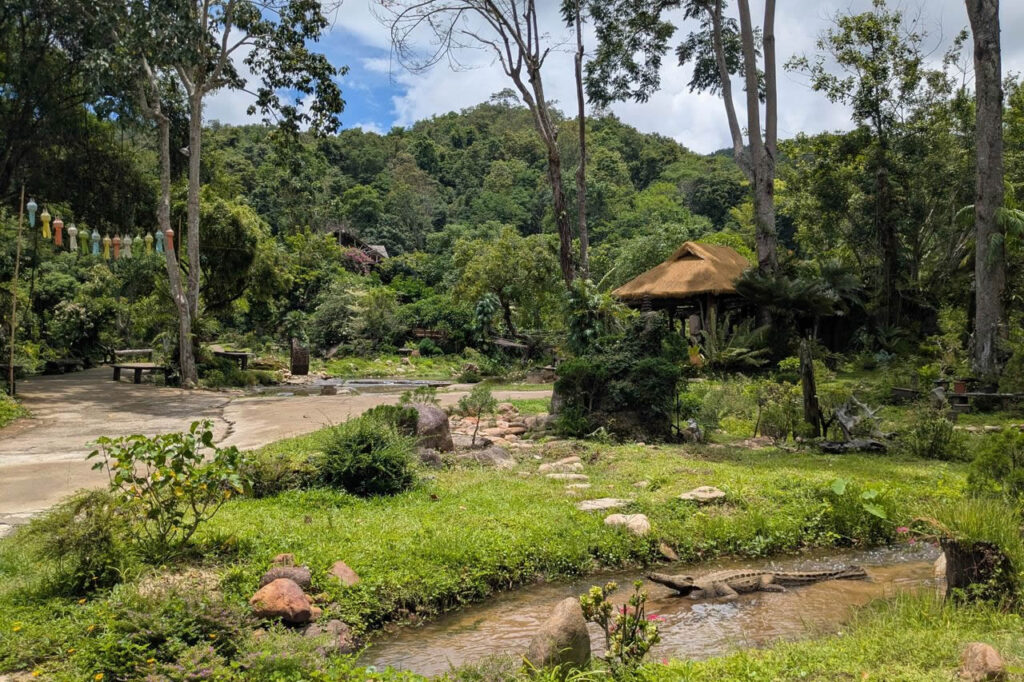 Lush green countryside in the mountains surrounding Chiang Mai