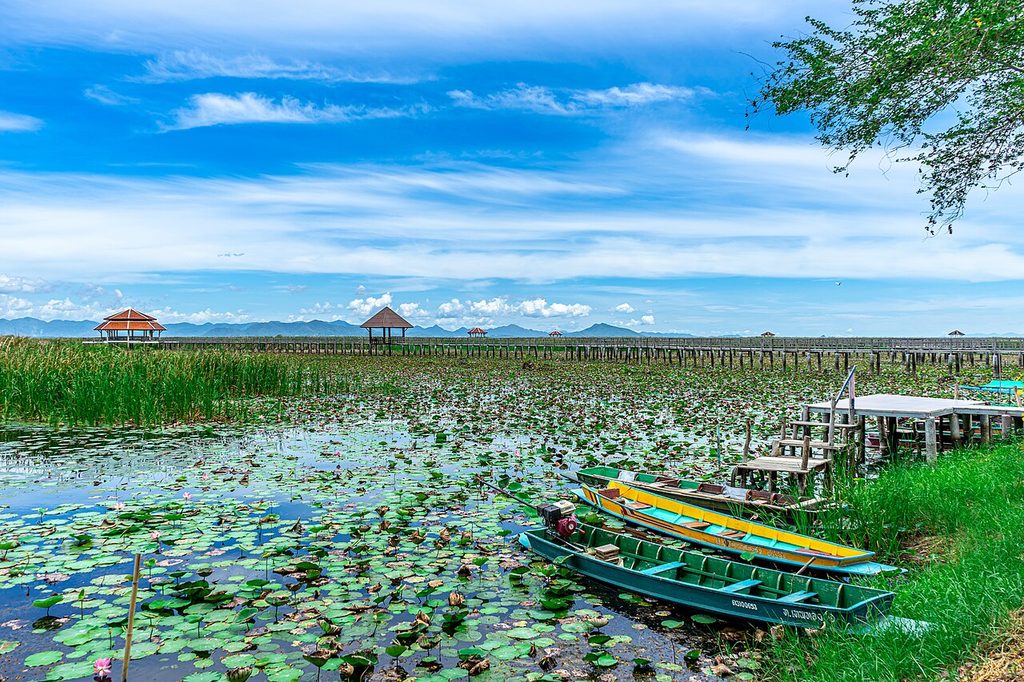 Colourful boats moored beside water lilies at Bueng Bua wetlands, with a wooden boardwalk and roofed shelters in the distance.