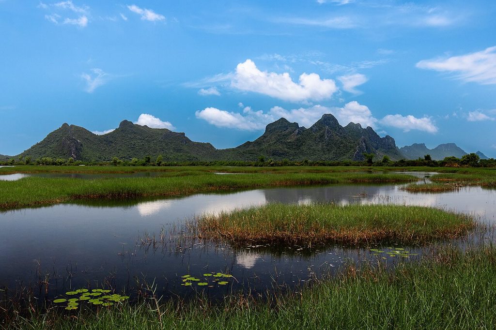 Limestone mountains rising behind reed-filled wetlands in Khao Sam Roi Yot National Park under a blue sky.