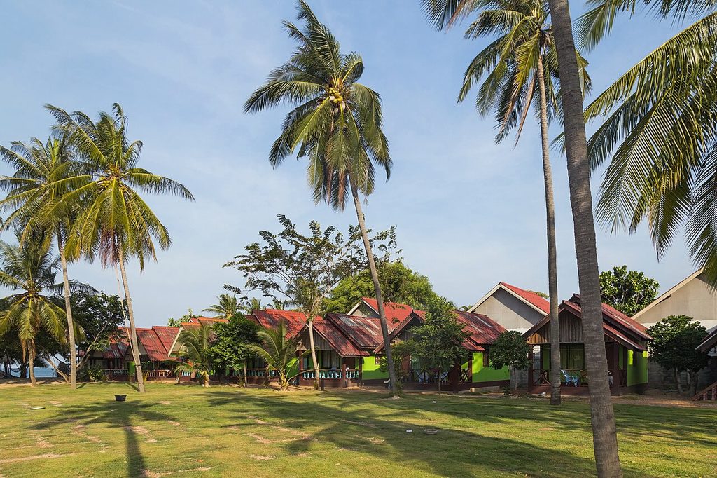 Bungalows surrounded by palm trees and lawns at a resort on Koh Lanta.