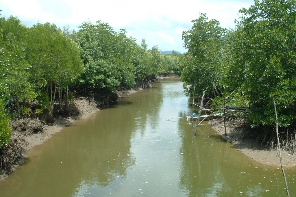 Narrow tidal waterway bordered by mangrove trees and exposed muddy banks on Koh Lanta.